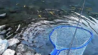 Learning to Endure in Silence