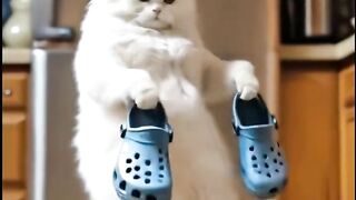 POV: When the Floor is Lava and You Can't Find Your Crocs! ????????