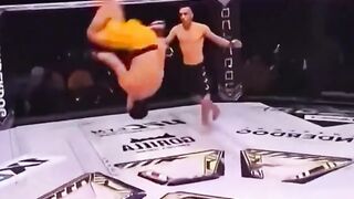 Funny moments in the UFC