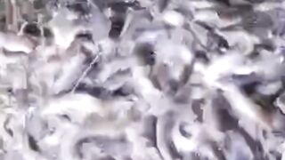 Jangan REMEHKAN usaha kecil❗Perusahaan RAKSASA juga awalnya KECIL