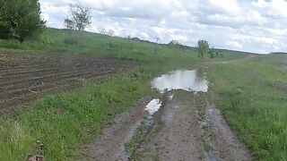 Т 16 трактор