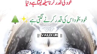 Khud ki kadar