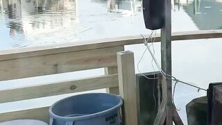 Fish Market in New York City