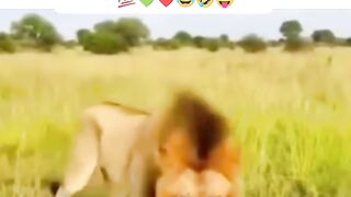 New funny video best screen 2026