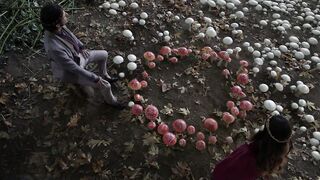 The Magicians - These Aren't Mushrooms-- They're EGGS! (S3E6) _ Movieclips.