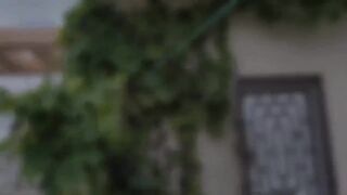 Top 10 VEGETABLES to grow at Home.mp4