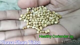 Magical way to Grow Coriander In just 5 Days / How to grow Coriander at home / Cilantro grow at home
