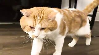 Jealous Jaden strikes again