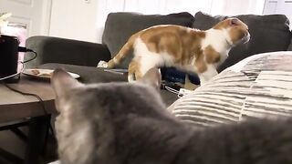 One thing on the mind