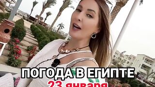 23 января в Египте