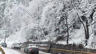 Snow ????️