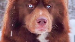 My squad vs enemy squad funny contest.