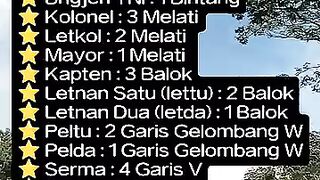 Mau Tahu  Tingkatan Pangkat Dari Prajurit TNi Sampai Jenderal