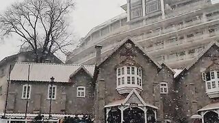 Pakistan muree