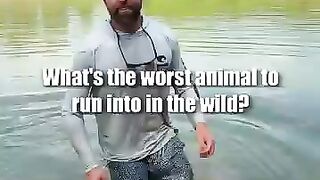 Animal wiled life happo