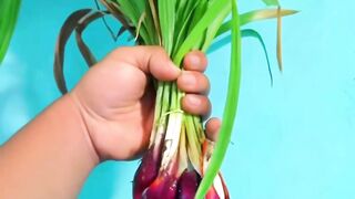 Benefits of Dayak onions