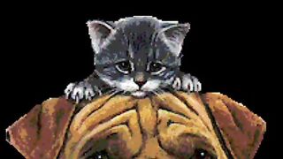 “Pure, No Conditions.”