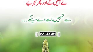 Ehmaq se behas