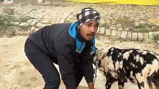 Funny video ????????