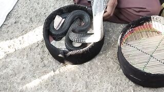 Shiva #aiswud4dfghyrssekkjhhhhhfdsee34giih