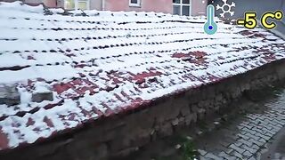 Nights at -5°C: why squirrels save street cats