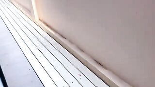 Cat Chases Bird