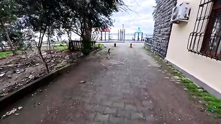 Street cats who have no idea that World Cat Day exists.