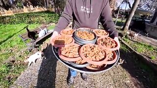 A little child who becomes happier by sharing love with cats