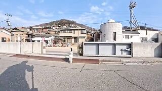 The moment I got off the ferry... I was greeted by a calico cat at the harbor. An amazing cat island