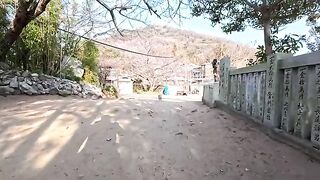 I met a talkative cat at a shrine on Cat Island.