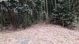 Unreleased cat videos taken this week all released