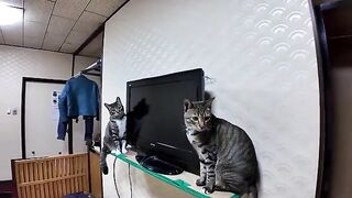 There is a TV in the room. I don't think most people have time to watch it though.