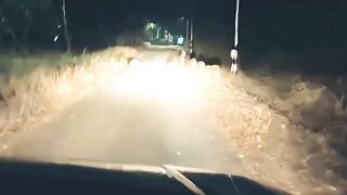 Night petrol #ghostlyadventures #ghostarea #horror #creepy #scary #spooky