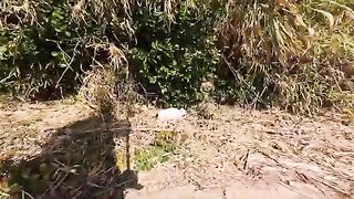 A black and white cat sleeping in the grass wakes up...and for some reason we decide to go for a walk together