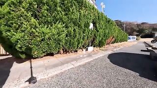 Unreleased cat videos taken this week all released