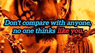 Don't compare whith anyone