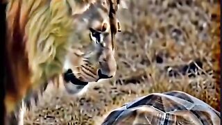 Animal nature