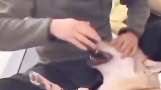 Funny videos ????????????????