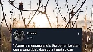 Hikmah Dunia dan Akherat #shorts #islam