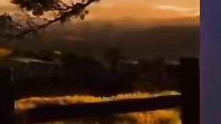 surga ada di bawah telapak kaki ibu #anakmuda #hikmah #islam