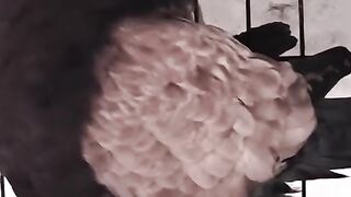 This bird is