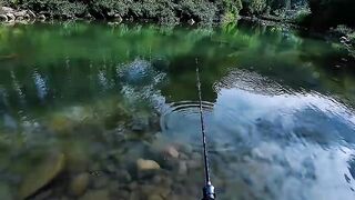 Silence That Calms the Heart