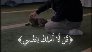 Tilawat e Quran Majeed