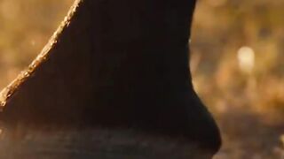 They Made a Huge Mistake ???????? Wild Horse Defense