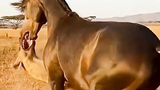 The Moment a Hyena Realized It Picked the Wrong Horse ????????