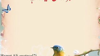 Momin k liye
