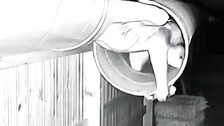Creature Stuck in the Duct - Pitbull Attack #cctv #dog #creature #scary