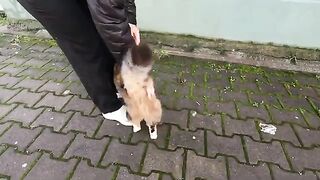 When Mimi the cat saw the food, she started meowing very loudly