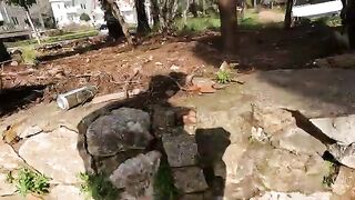 The truth about cat bites. Is it a sign of affection or something else?