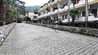 A stray cat jumped up to us and hit its head on my camera.
